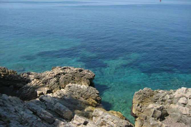 Jadran Jadran