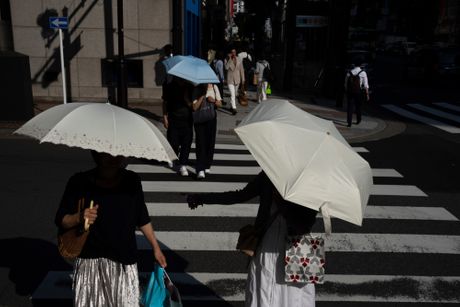 Japan, toplotni talas Japan, toplotni talas