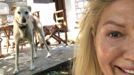 Suzana Mančić Suzana Mančić