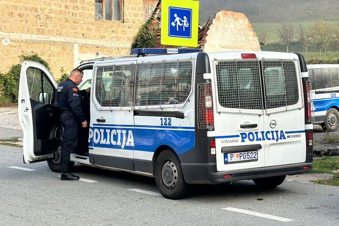 Hapšenje pedofila Hapšenje pedofila