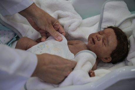 Reborn lutke, lažne bebe Reborn lutke, lažne bebe