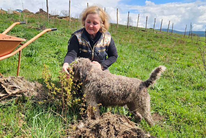 Ruskinja gaji koze na Kamenoj Gori Ruskinja gaji koze na Kamenoj Gori