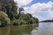 Dete nestalo sinoć u Dravi, od zore nastavljena potraga