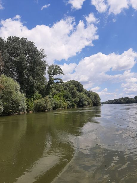reka drava reka drava