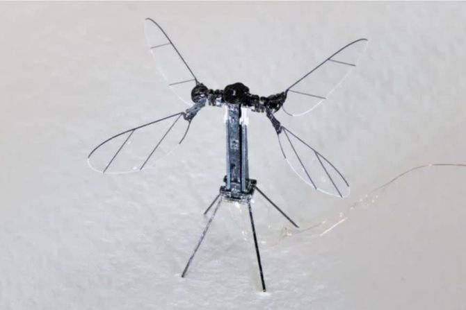Komarac dron, robot Komarac dron, robot