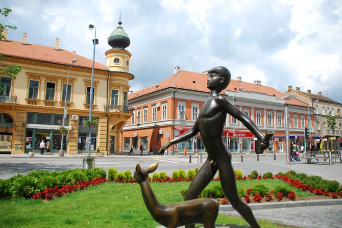 Pančevo, Tamiš Pančevo, Tamiš