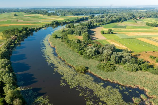reka Drava, Drava, reka, Hrvatska reka Drava, Drava, reka, Hrvatska