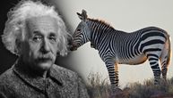 Ajnštajnovu zagonetku može da reši SAMO 2% ljudi: Najviralniji zadatak sa zebrom DECENIJAMA MUČI SVET