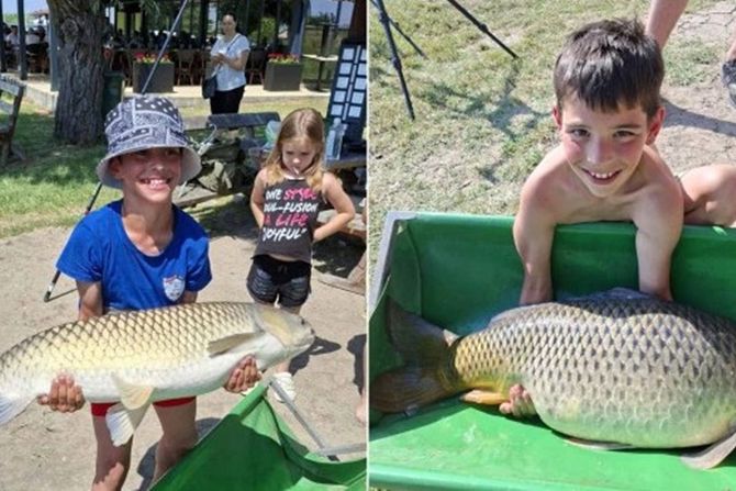 kapitalci, pecanje Bačko Petrovo selo