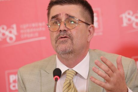 Predrag Savić knjiga