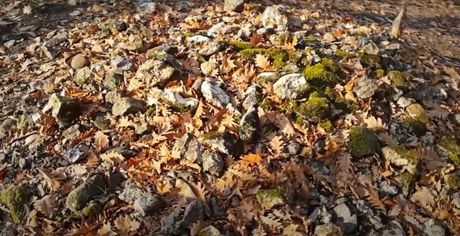 kamene suma kod mataruske banje