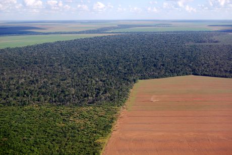 Amazon deforestacija Amazon deforestacija