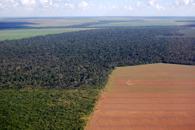 Amazon deforestacija Amazon deforestacija