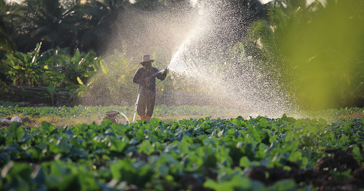 Rat u Iranu izaziva globalnu nestašicu đubriva i ugrožava cene hrane