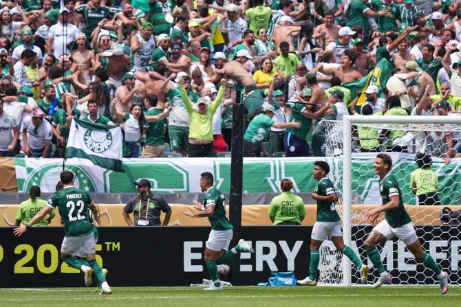 Palmeiras Palmeiras