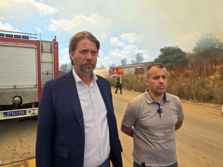 Gradonačelnik Kragujevca, Nikola Dašić