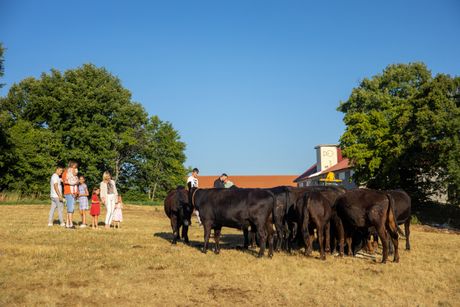 Ministarka Tatjana Macura, porodica Stanić Ministarka Tatjana Macura, porodica Stanić