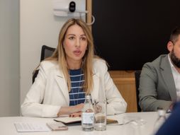 Dubravka Đedović Handanović, NIS