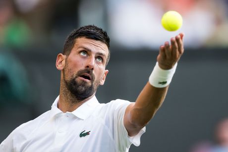 Novak Đoković Novak Đoković