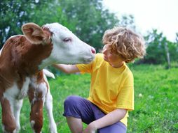 LJubav prema životinjama