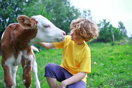 LJubav prema životinjama LJubav prema životinjama