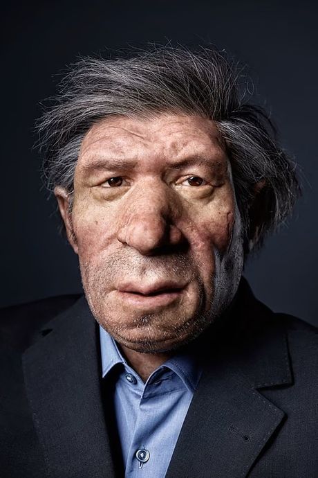 Neandertalci u sadašnjosti Neandertalci u sadašnjosti