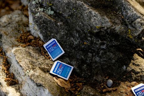 Samsung Memory Samsung Memory