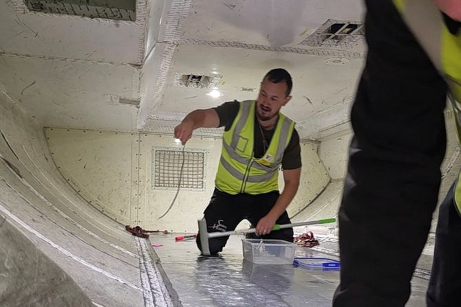 zmija u avionu