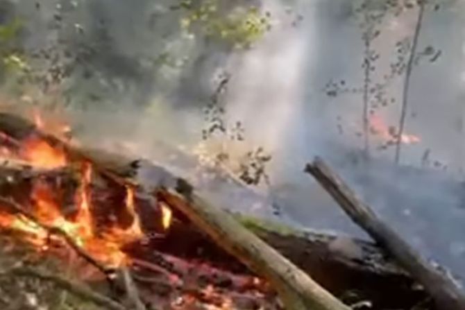 POŽAR PLANINA JELICA