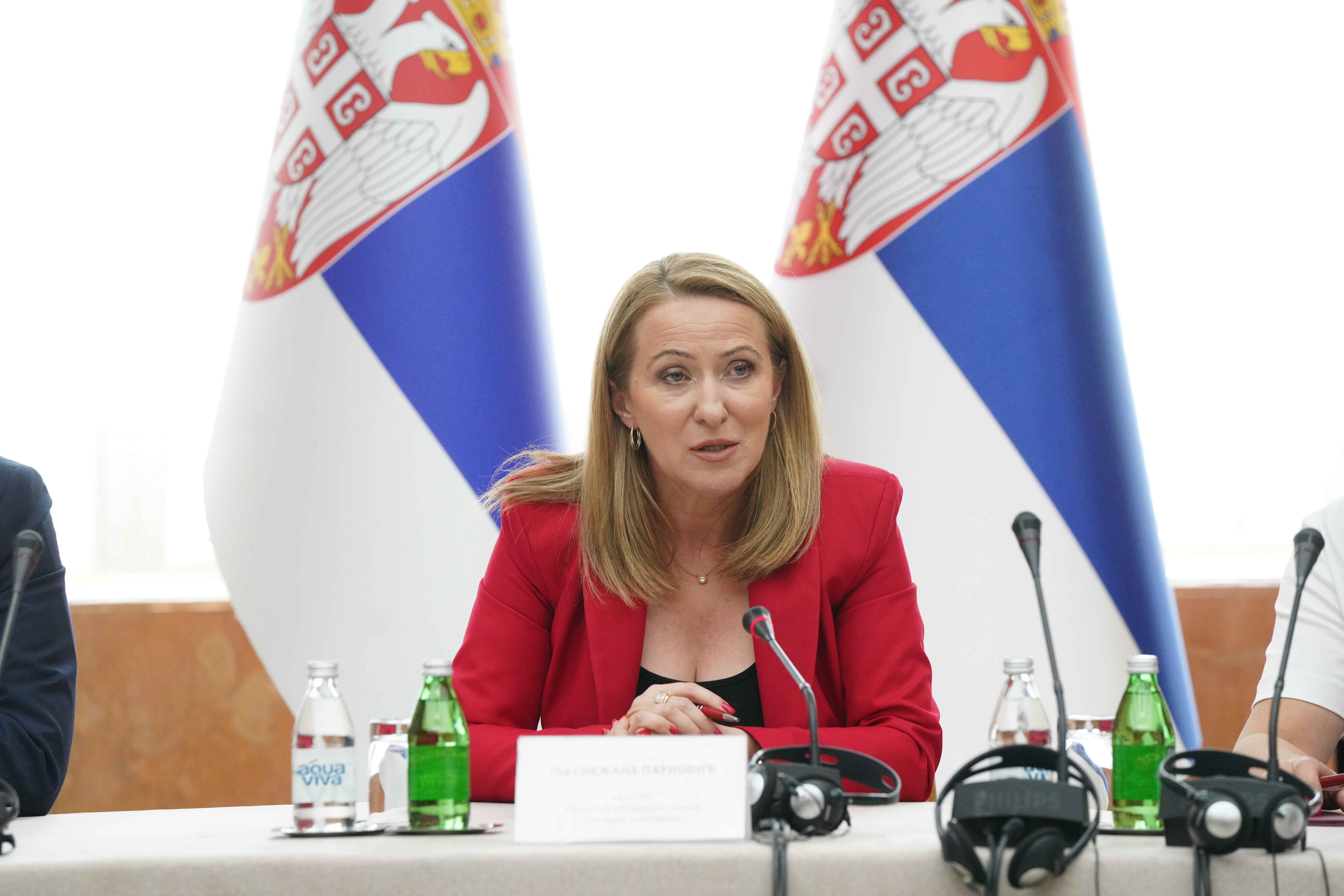 Paunović o sprovođenju izbora sa članovima posmatračke misije