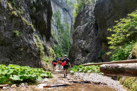 Drina, zapadna Srbija, TOS Drina, zapadna Srbija, TOS