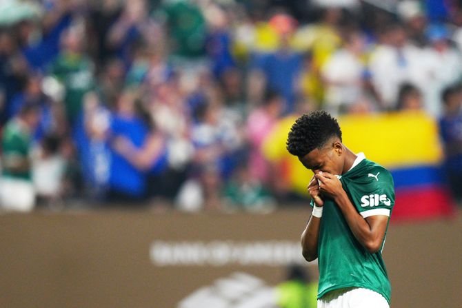 Estevao - FK Palmeiras Estevao - FK Palmeiras