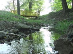 Slatinska Banja