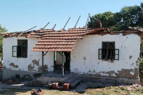 Porodica Domanović, Kragujevac, Gornje Jarušice Porodica Domanović, Kragujevac, Gornje Jarušice