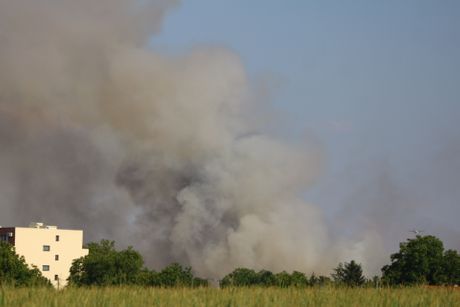 Požar kod Surčina Požar kod Surčina