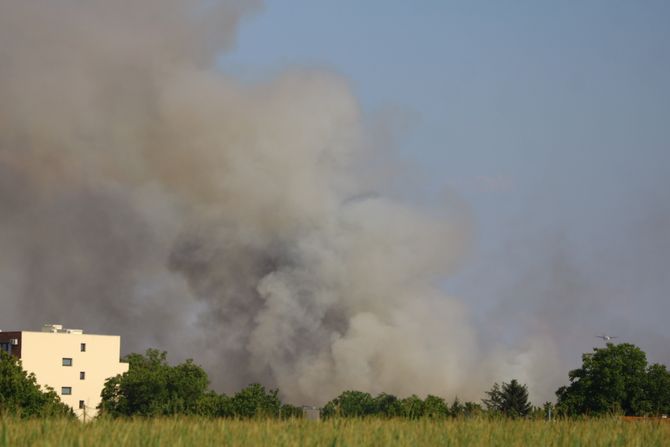 Požar kod Surčina Požar kod Surčina