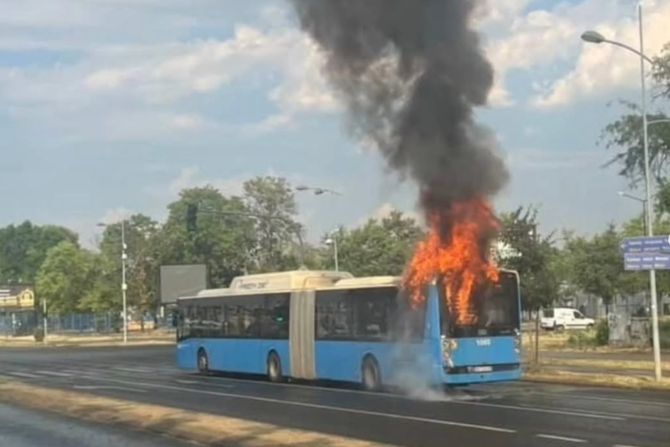 Gori autobus u Novom Sadu Gori autobus u Novom Sadu