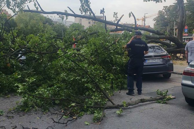 Oluja, pali devo, beograd, crveni krst Oluja, pali devo, beograd, crveni krst