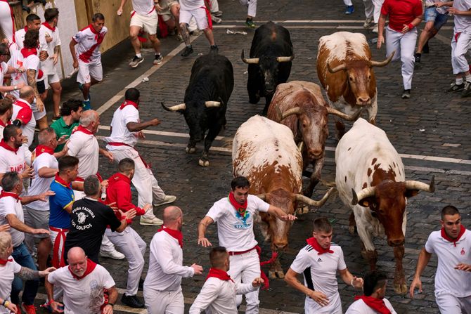 Pamplona, trka bikova kroz grad