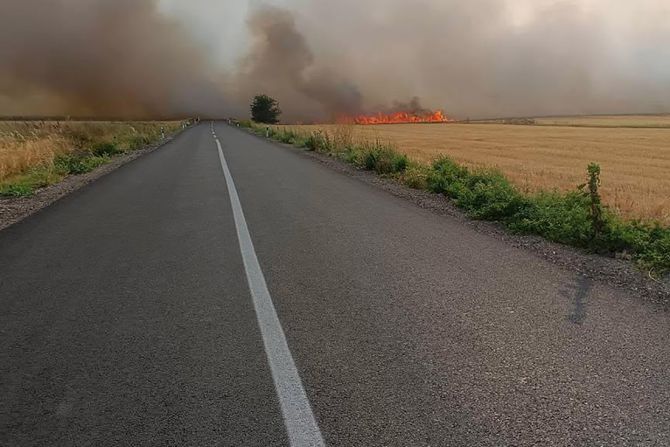 Selo Bradarac, opština Aleksinac, požar Selo Bradarac, opština Aleksinac, požar