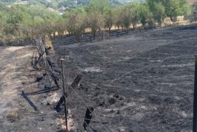 Izgorele kuće, hektari šuma, voćnjaka i njiva, Toplički okrug