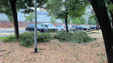 Novi Sad nevreme oluja Novi Sad nevreme oluja