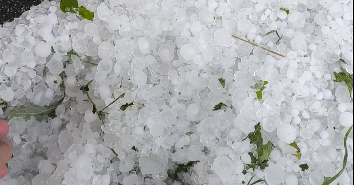Hail Whitens This Part of Serbia: Fell for More Than 10 Minutes, Everything is White