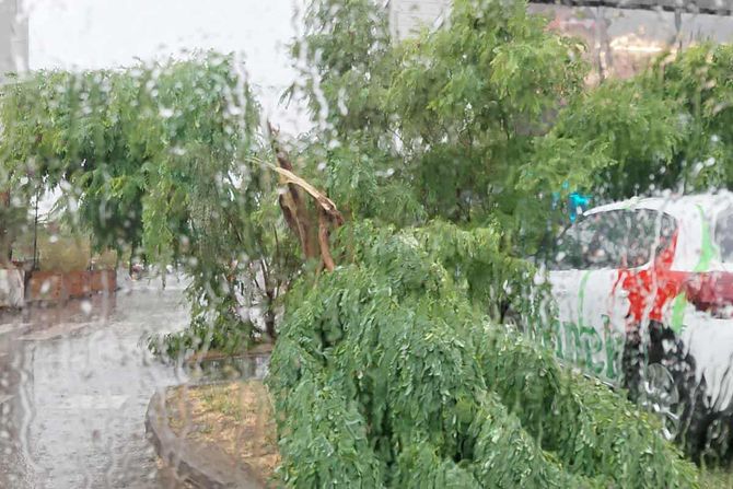 Nevreme u Novom Sadu Nevreme u Novom Sadu