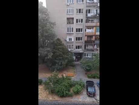 Nevreme u Novom Sadu Nevreme u Novom Sadu
