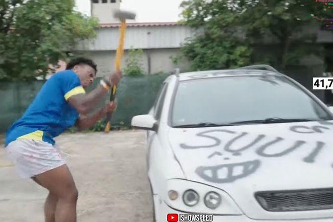 Spid, Bosna Spid, Bosna