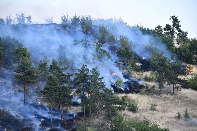 Blace, požari Blace, požari