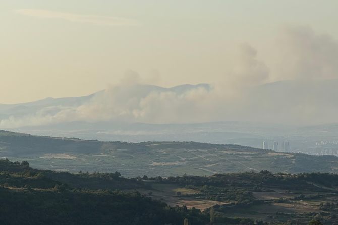 Blace, požari