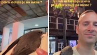 Komša je sleteo Radetu na rame i priredio mu noć za pamćenje! Neverovatna priča stiže iz samog srca Beograda