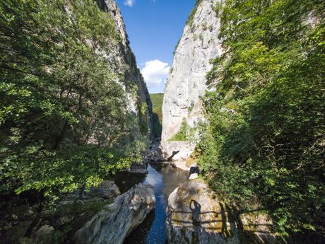 Ruj planina Ruj planina